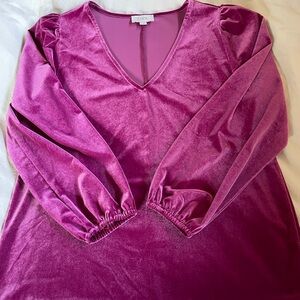 LOFT Outlet Velour Top with puffed sleeves & elastic wrists - Medium Pink Purple